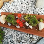 Otilija * 포레치