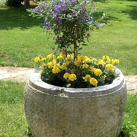 Apartmán Otilija