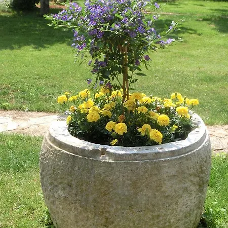 Appartement Otilija *