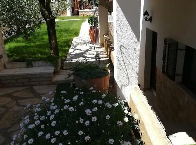 Otilija * بوريتش